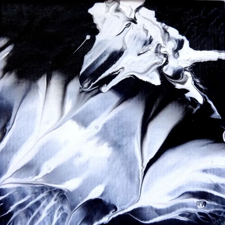 Black and White #1, œuvre de fred wilson 3