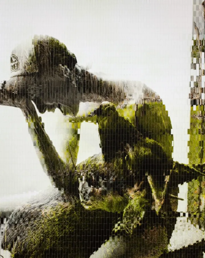 Roots, œuvre de martin rondeau