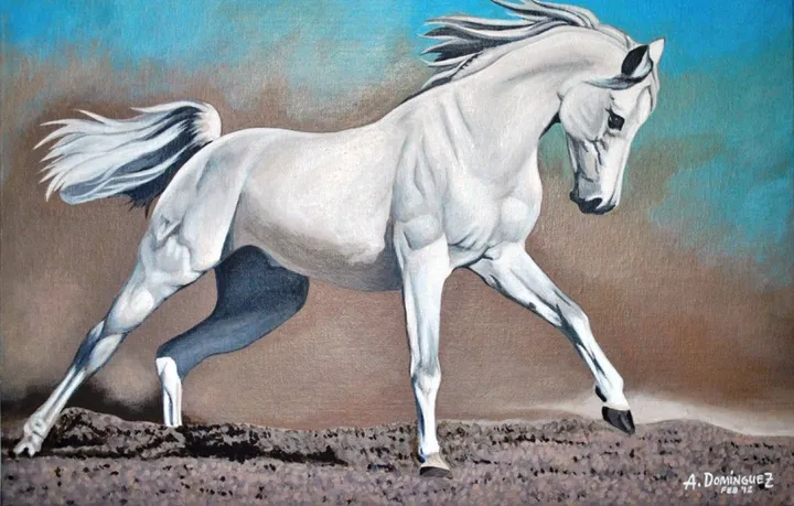 White Horse, œuvre de Ariel Dominguez