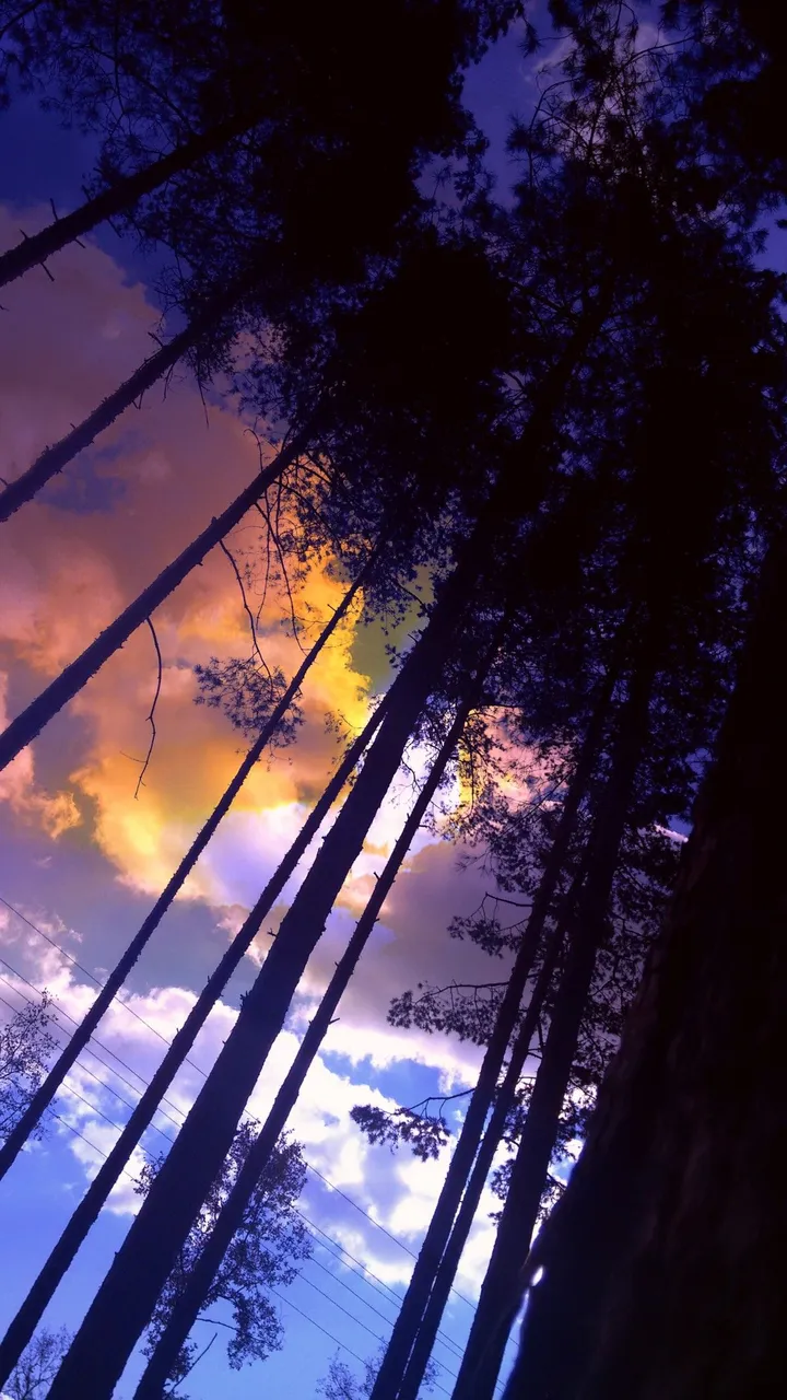 Magical sky in Koprinka lake, œuvre de Vicky Patsia