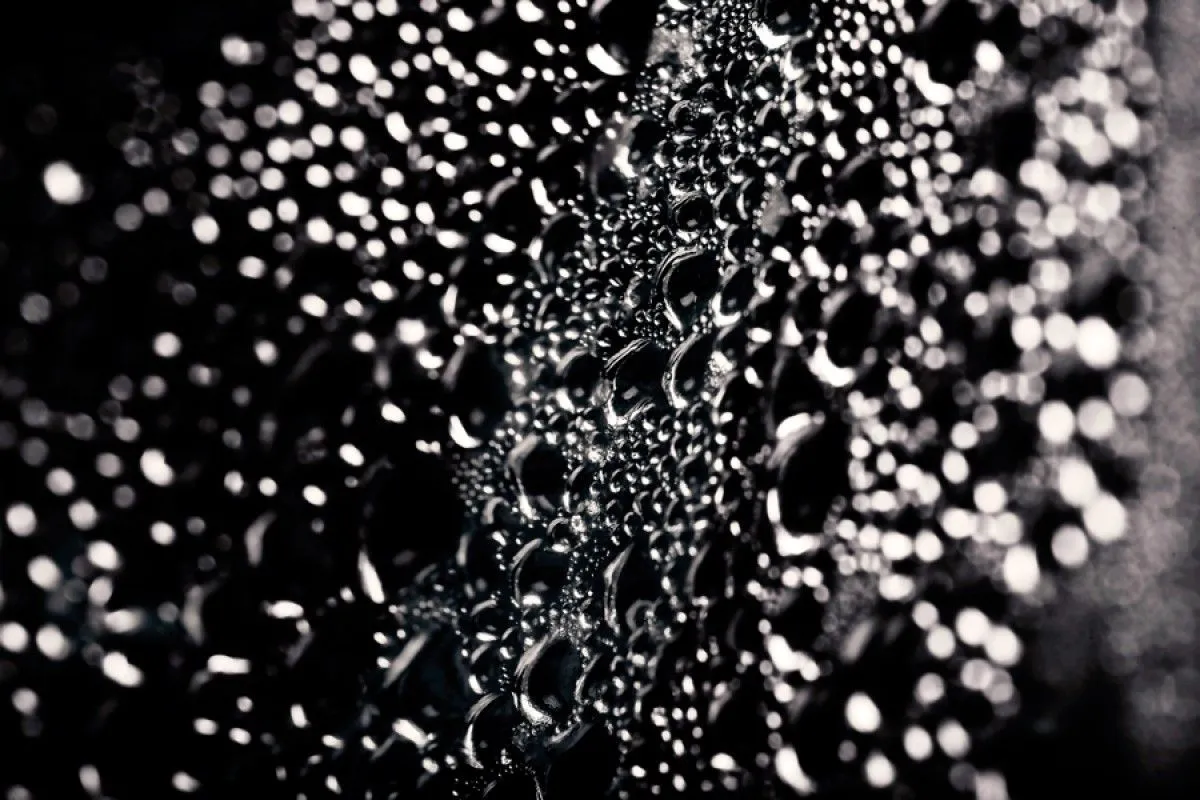 Black and white water, artwork by Nicolas Bernié