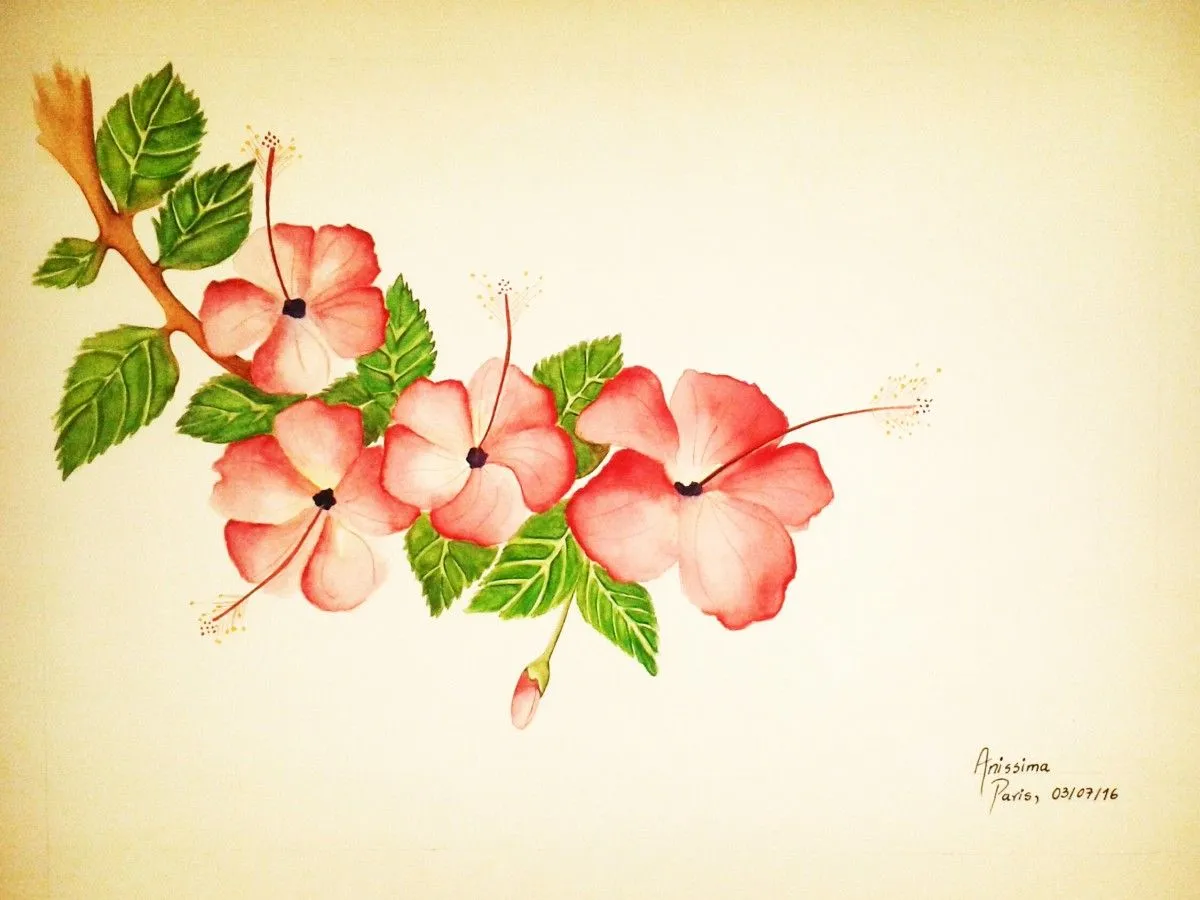 CAYENA, œuvre de Ana V