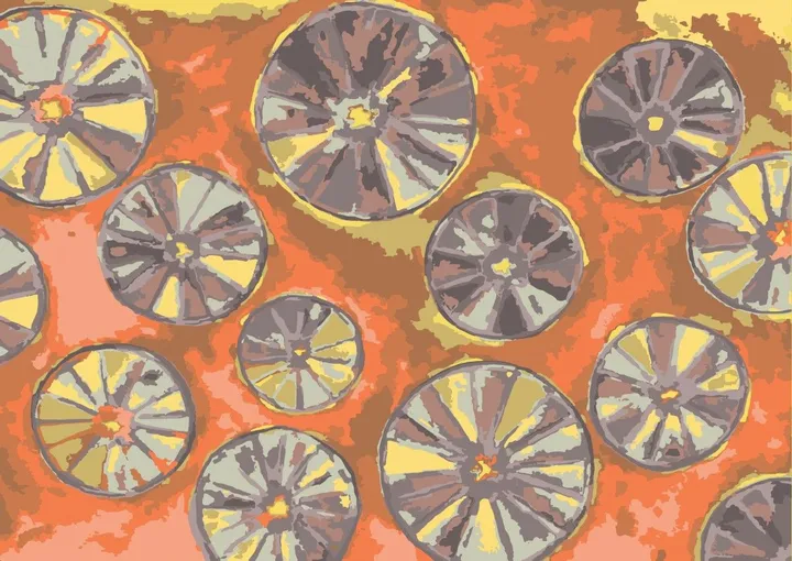 orange, œuvre de maria carolina paranhos
