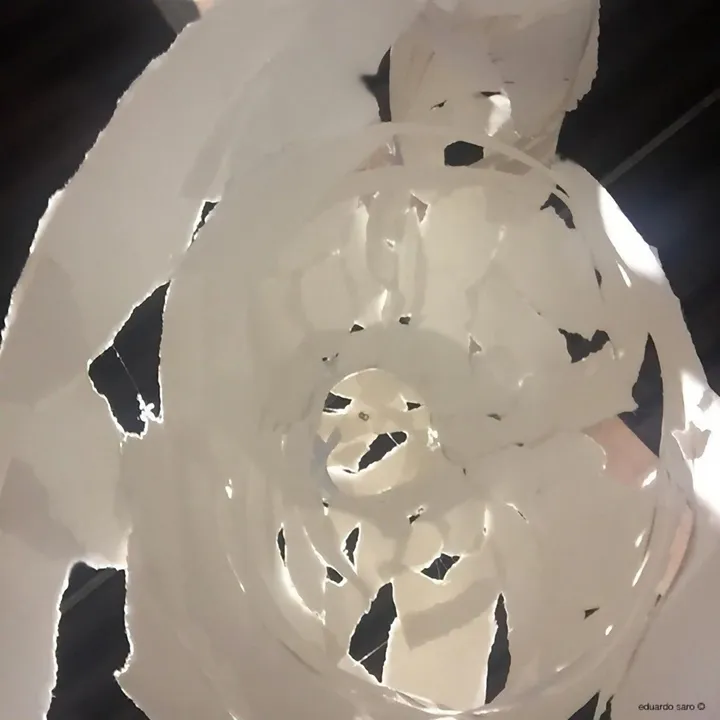 Abortable, œuvre de Eduardo Saro
