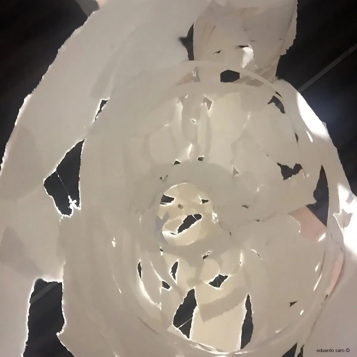 Abortable, œuvre de Eduardo Saro