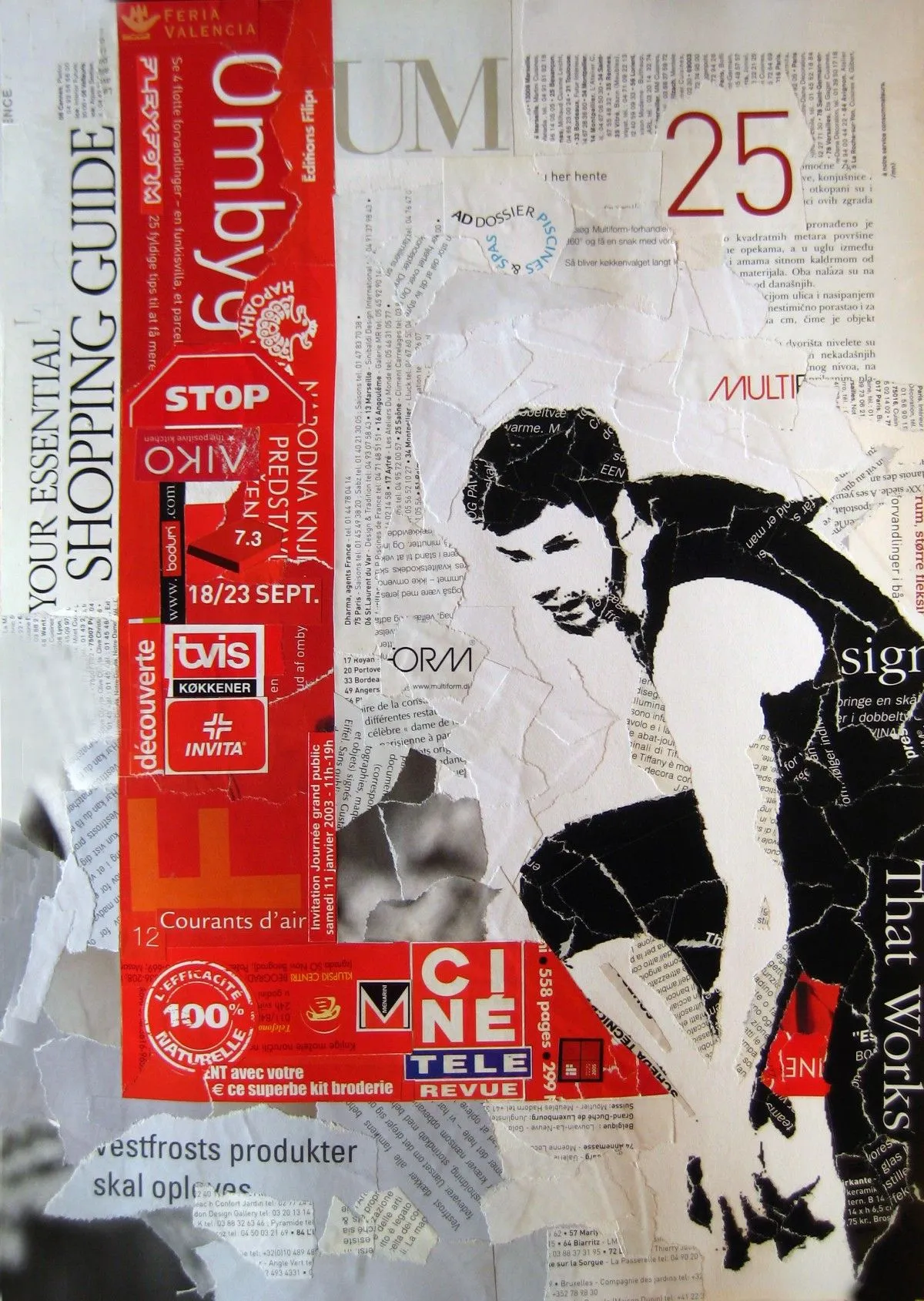 Collage BIG L, œuvre de Mugur Kreiss