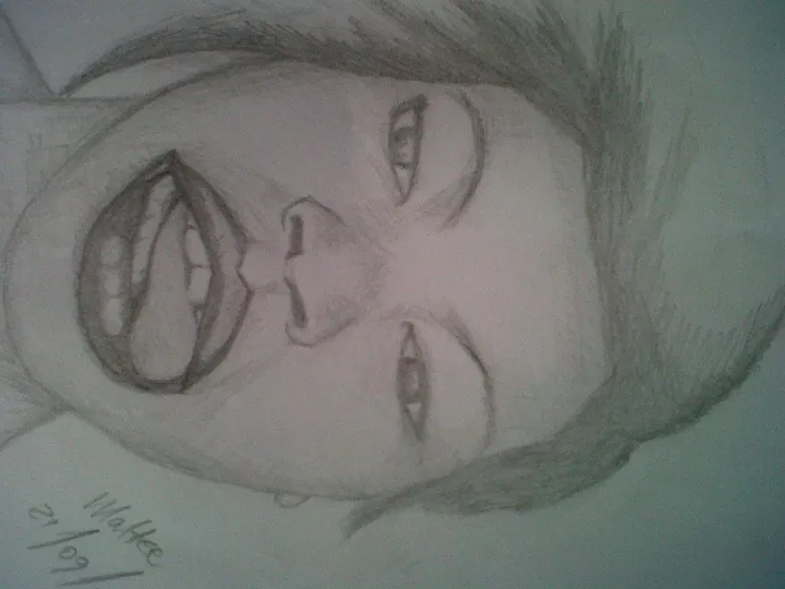 pencil art, artwork by Maltee IDs