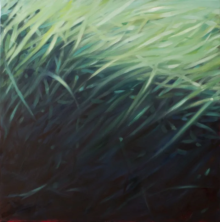 Posidonia, artwork by Hubert Camiglieri