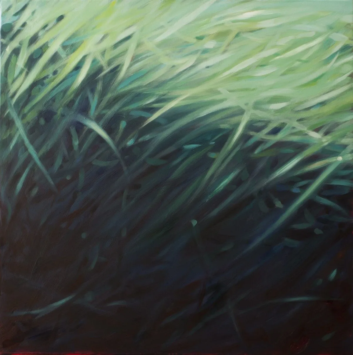 Posidonia, artwork by Hubert Camiglieri
