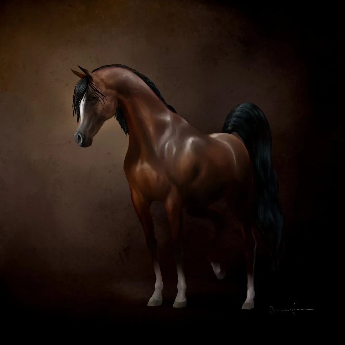 Arabian Horse, œuvre de MEGAT MARZUQI