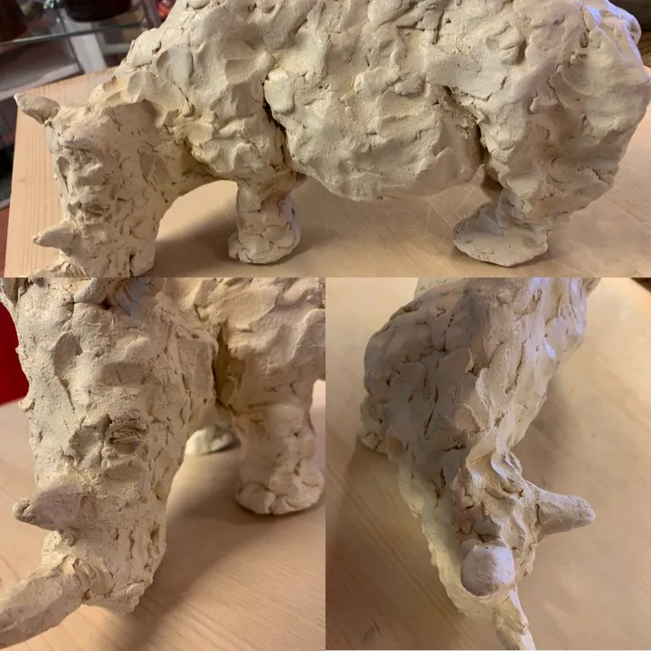 Rhinocéros blanc, artwork by Anne Cellier