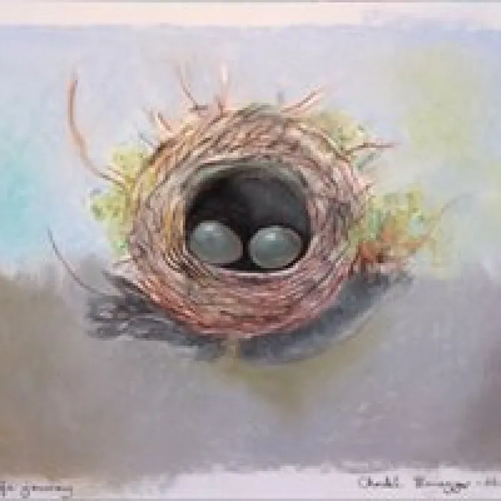 Floating Nest, œuvre de Cristel Brugger
