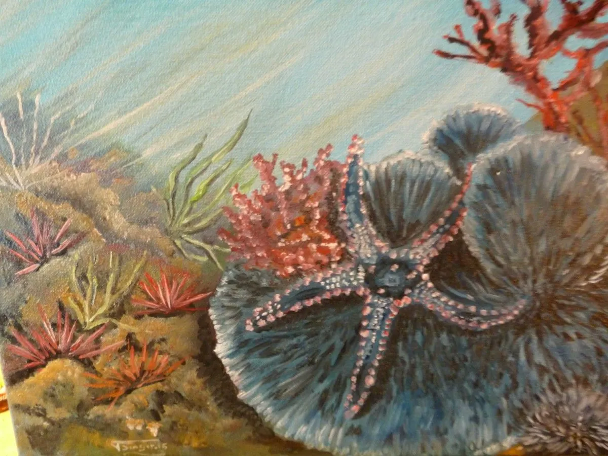 étoile ,de mer, artwork by THIERRY SINGER