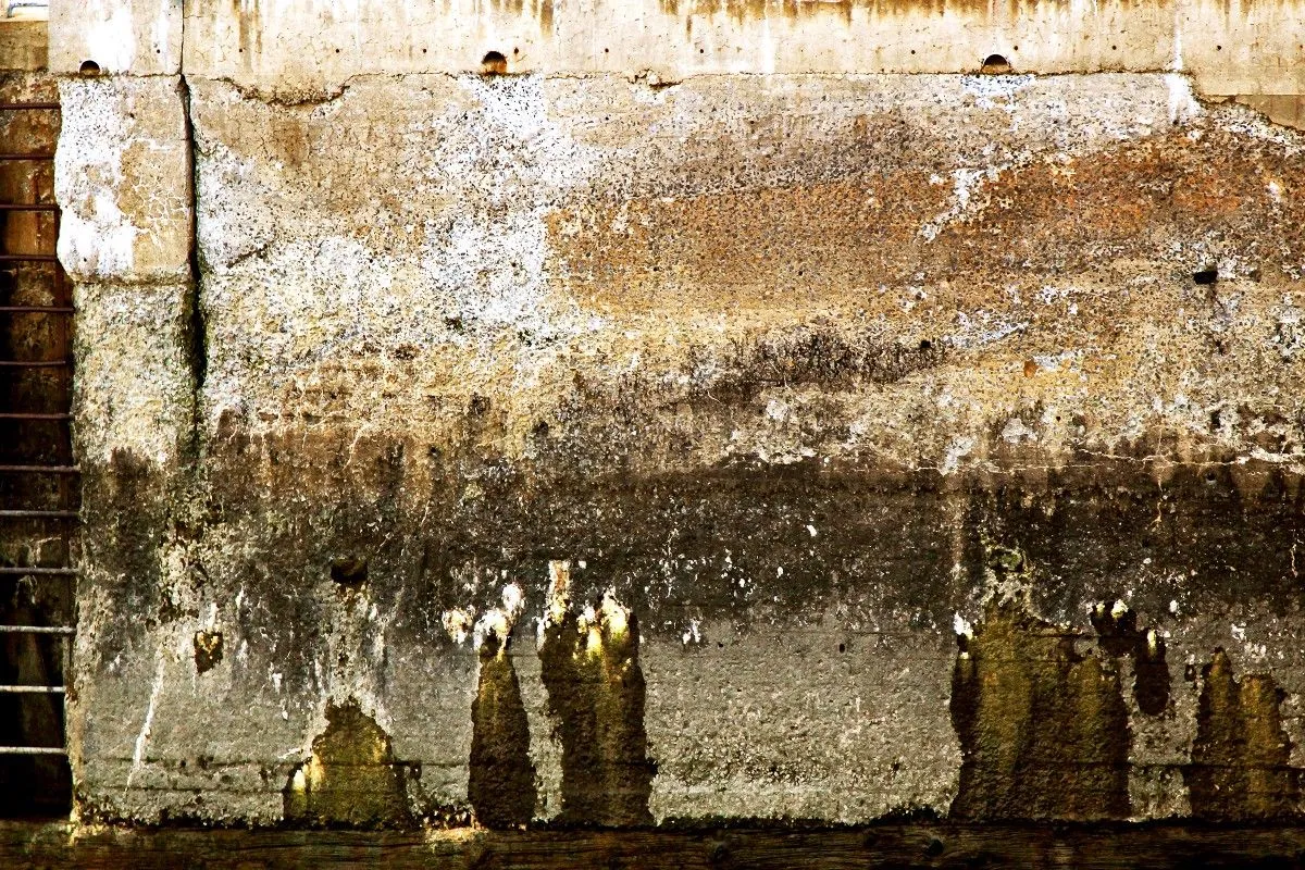 UNE ALIANCE RETROUVÉE I, œuvre de Edouard Mosseau