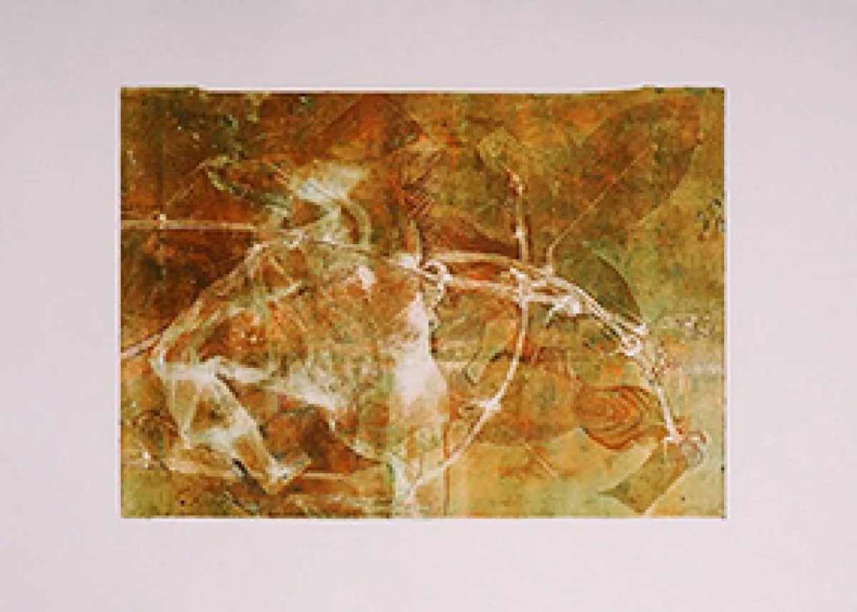imprint in-of, œuvre de Buddhika Nakandala