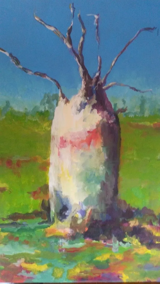 Kimberley Boab, œuvre de Rosalie Moulding