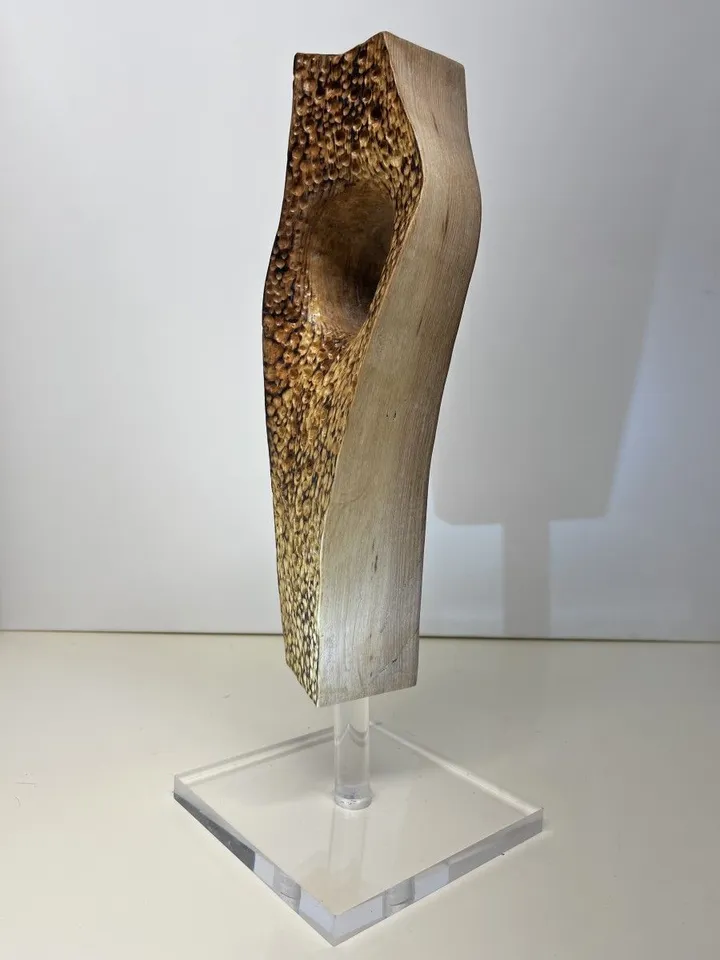 Woods, artwork by Philippe LE TORRIELLEC