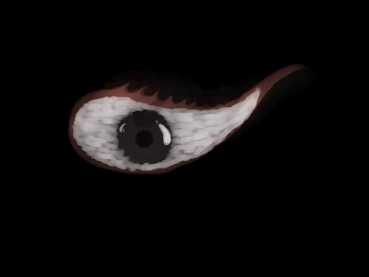 Painting of an eye..., artwork by Ammar Malik