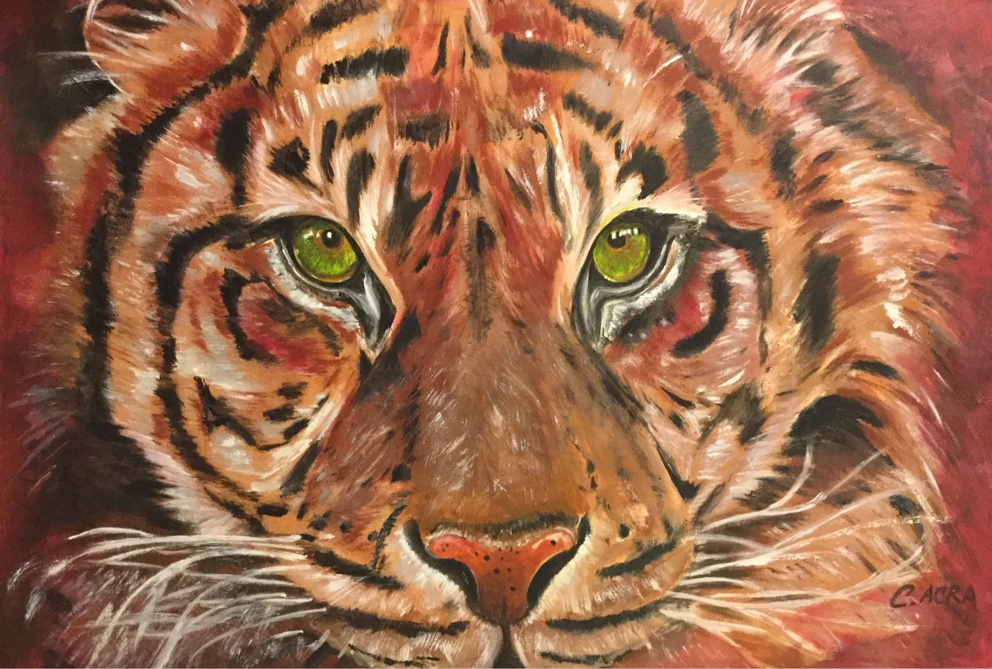Eye of a Tiger, œuvre de Colette Acra