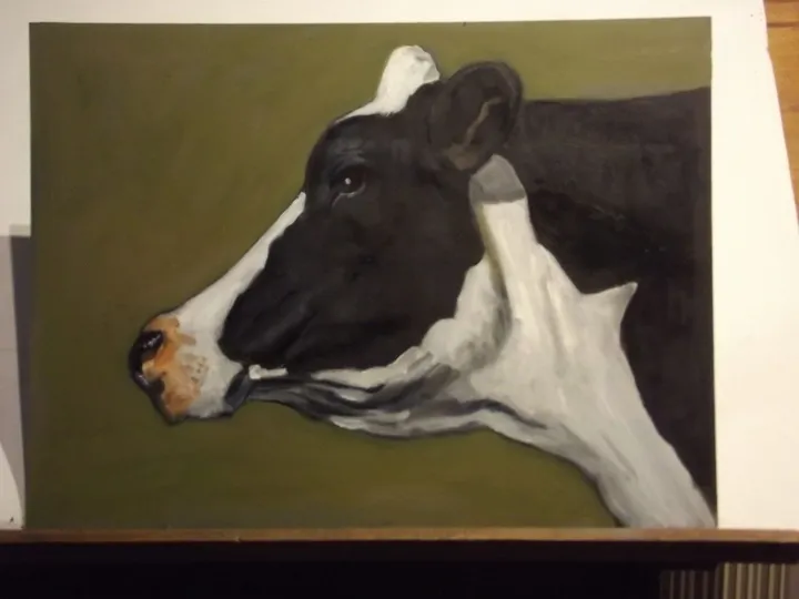 Cow, œuvre de alejandro ocampo