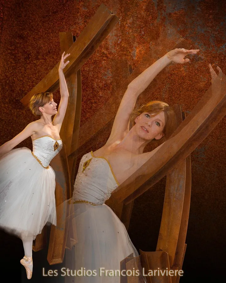 Pas de deux #3, artwork by Francois Lariviere