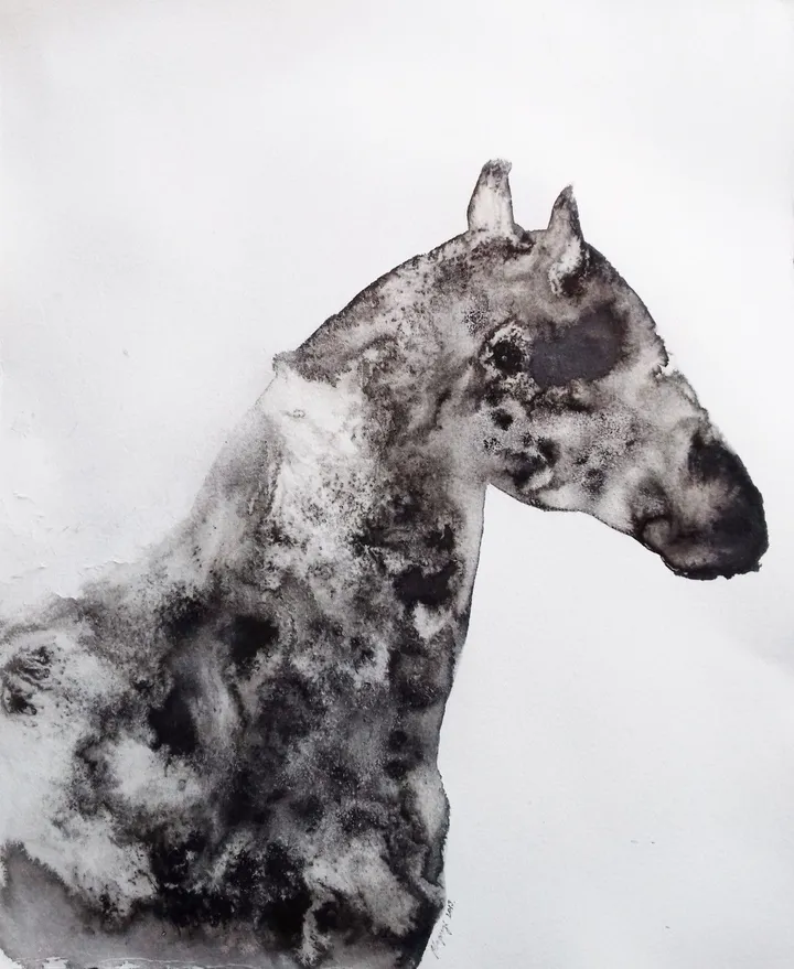 Appaloosa Portrait 2019/1, artwork by marija colic