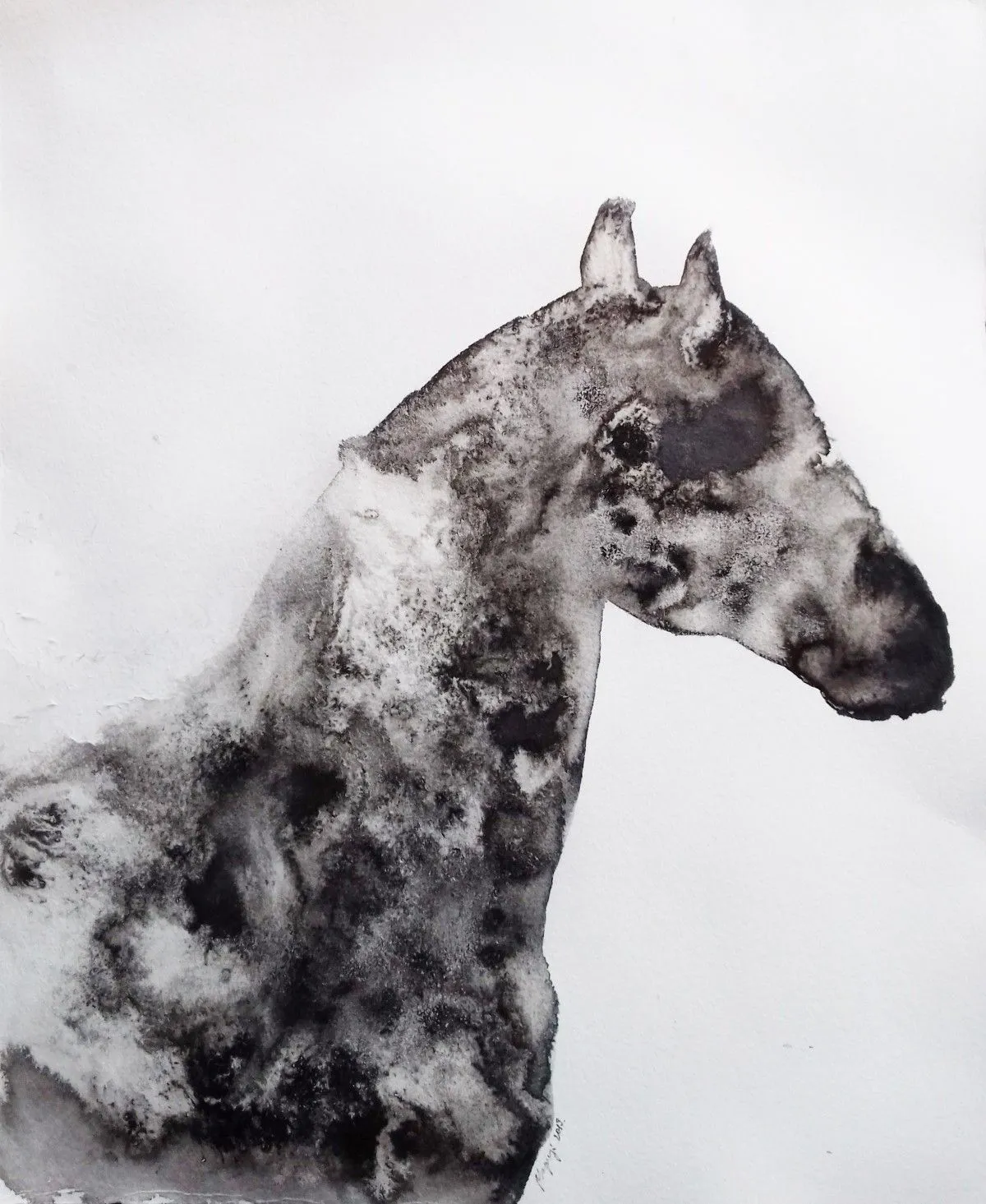 Appaloosa Portrait 2019/1, artwork by marija colic