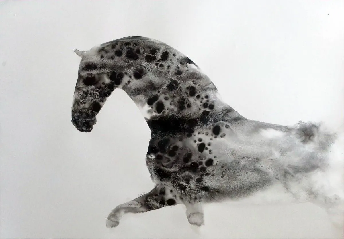 Handsome, artwork by marija colic