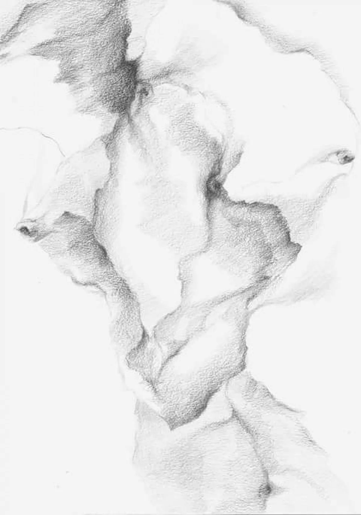 Faces, artwork by Ahmed Haj