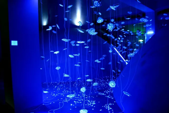 Glowing Blue Installation 2, œuvre de Mila Stoeva