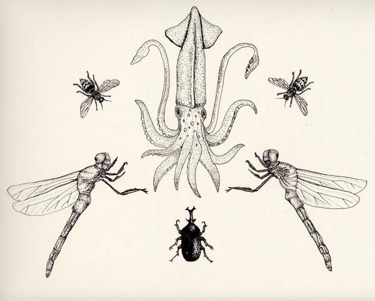 Animals, artwork by Thomas Presley