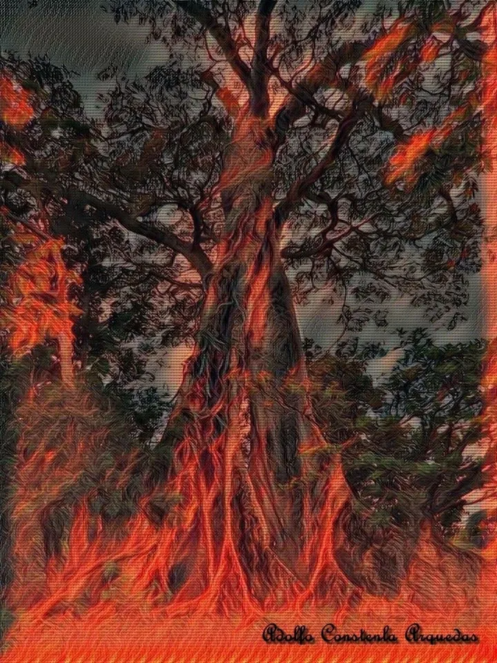 Ceiba mágica, artwork by Adolfo Constenla