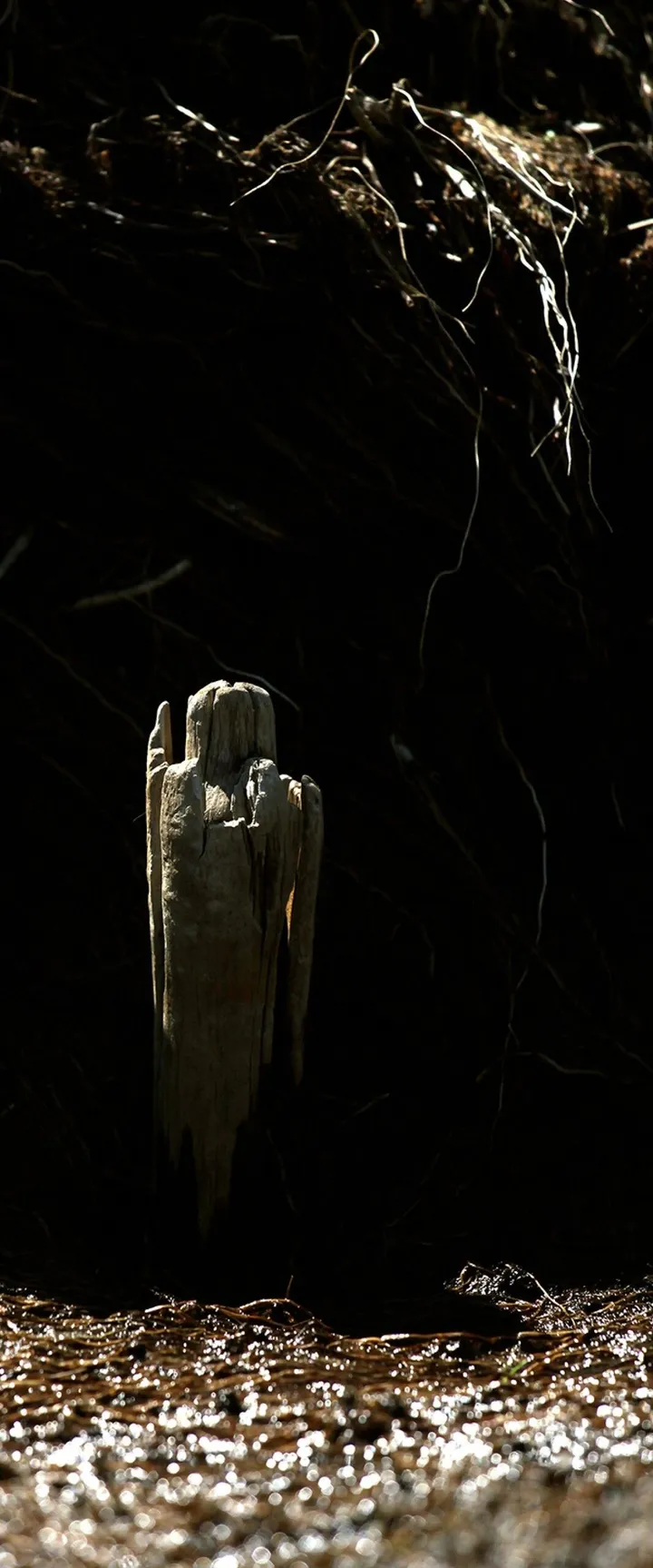L'ÉMERGENCE, artwork by Edouard Mosseau