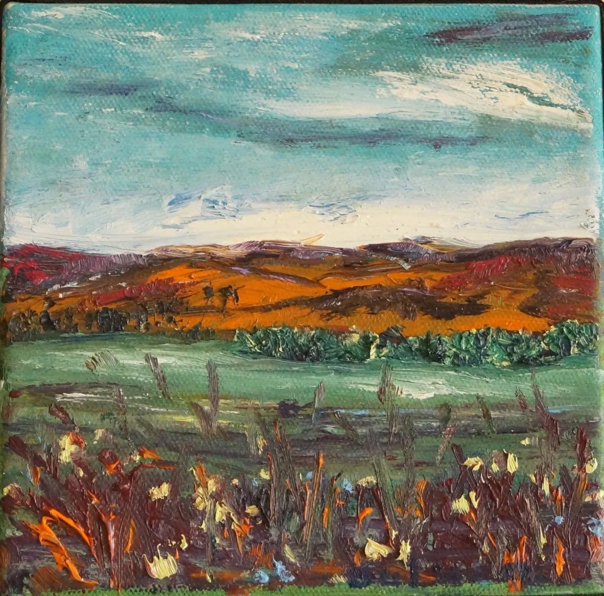 Nature, œuvre de Gulseren Yalcintas