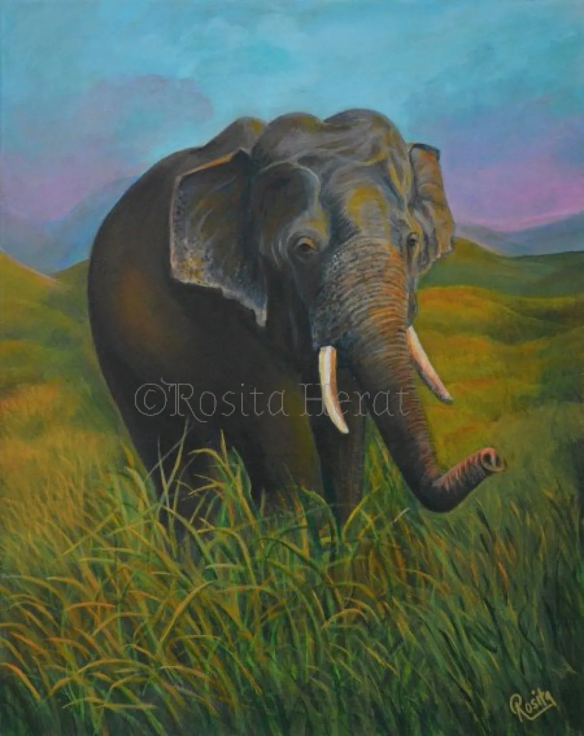 Asian Tusker, artwork by Rosita Herat