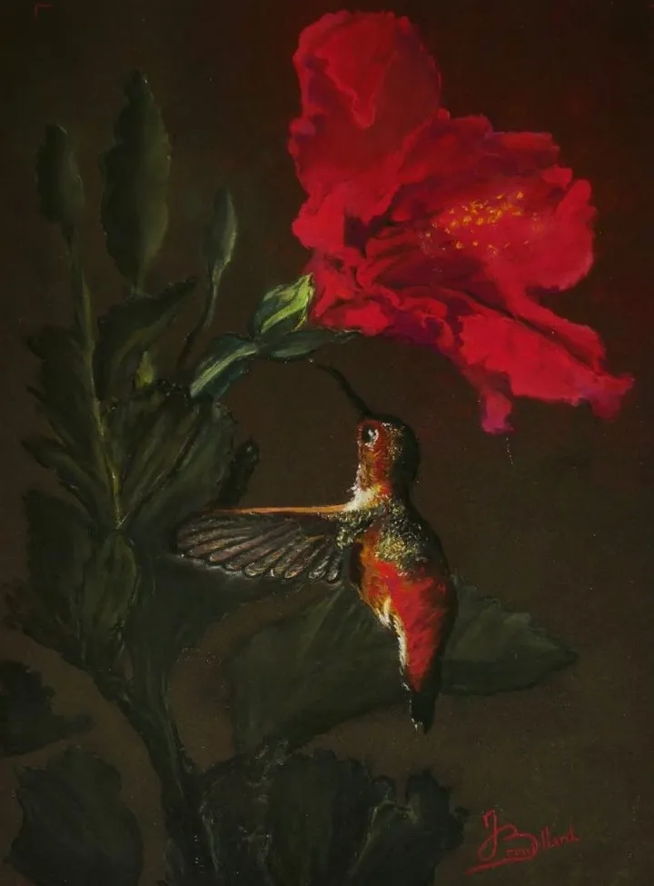le Colibri et son hibiscus, œuvre de joelle BROUILLARD