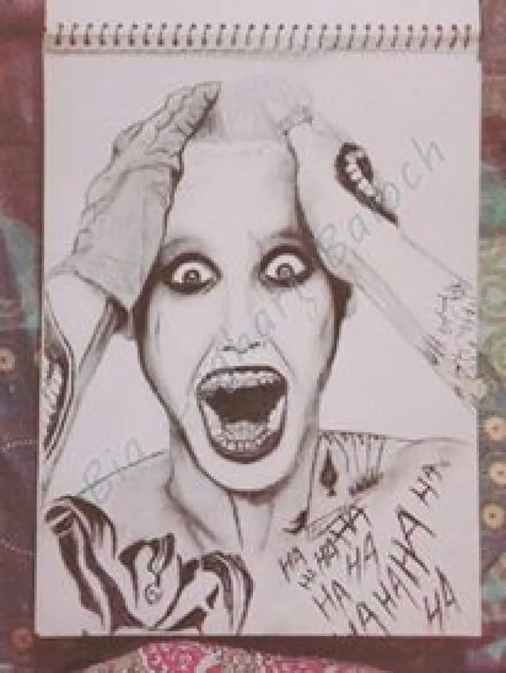 Joker, œuvre de Bia Baloch
