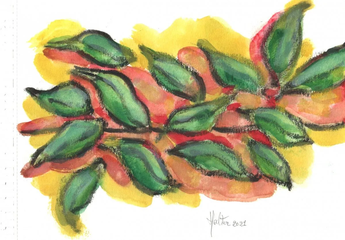 Feuilles de ficus, œuvre de Alain HALTER