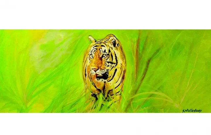 Tiger stalking, œuvre de Grant Netherlands