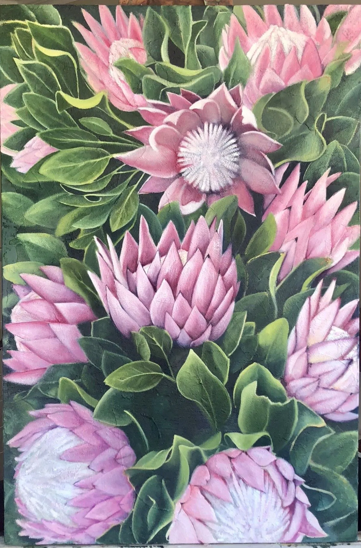 Cape Protea, artwork by Bronwyn Bruce