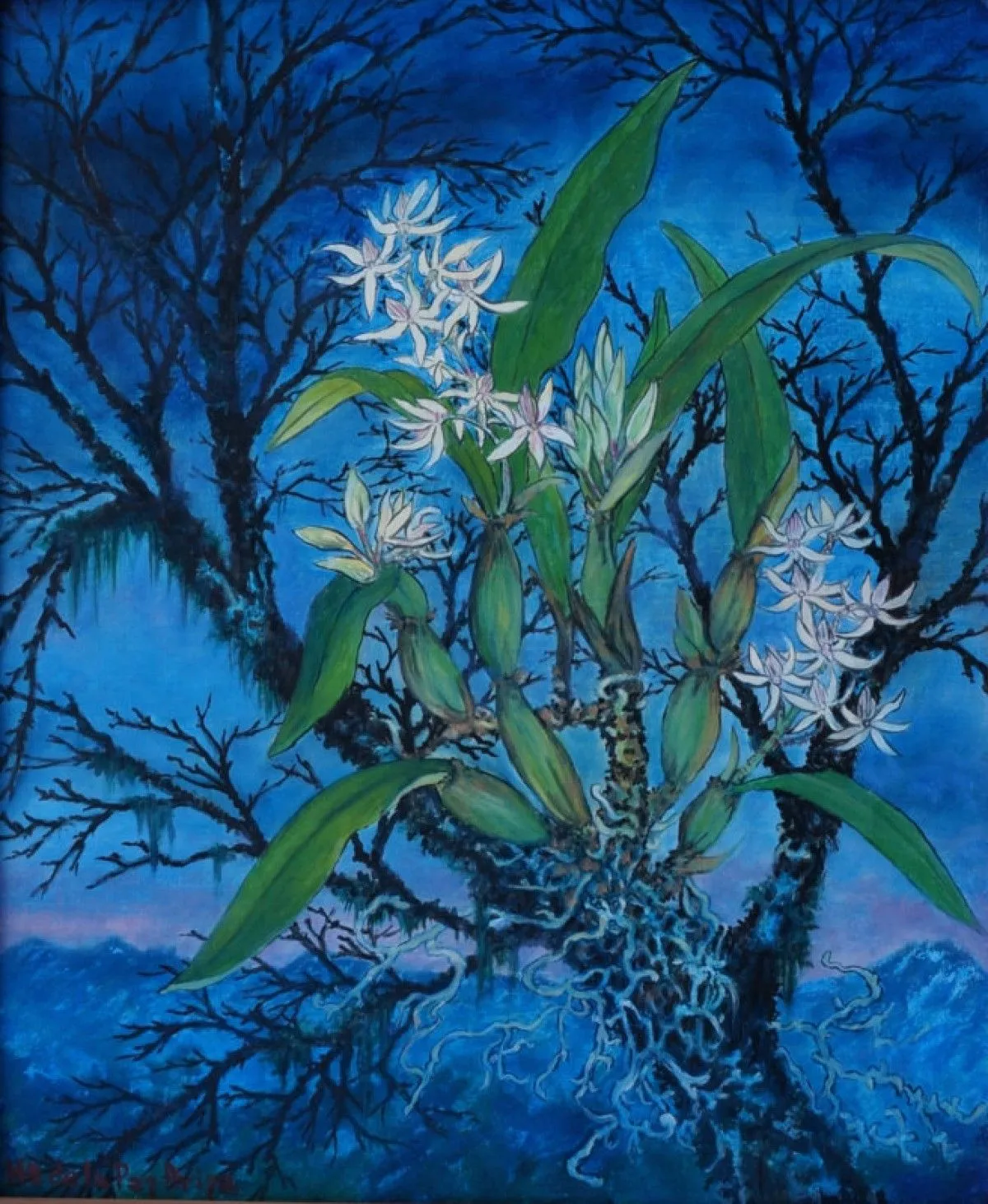 "Aroma Nocturno", artwork by María de la Paz Ariza