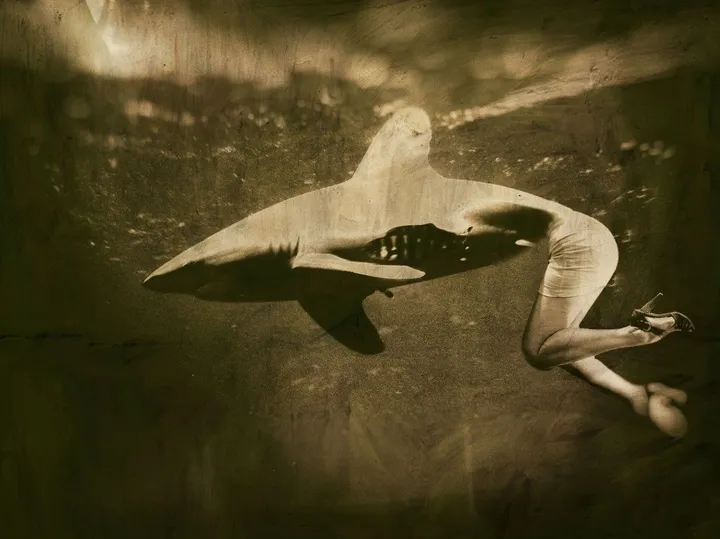 The Predator, œuvre de Cornel Gingarasu