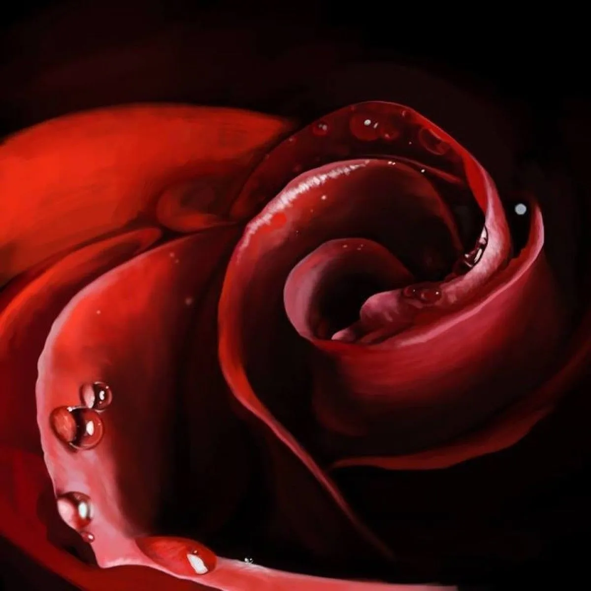 "R-R Ose", artwork by Gabriel Urban