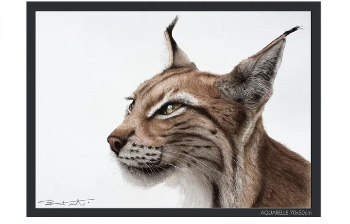 "LYNX", œuvre de Pierre Frutschi