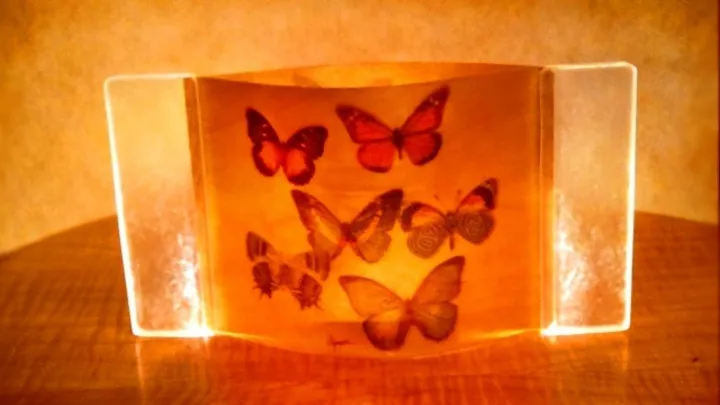 Clearly Mariposas, œuvre de Frank Vigneri