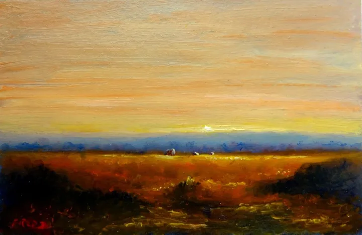 Rural Sunrise, œuvre de fred wilson 3