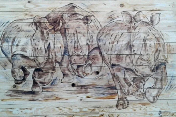 Rhino stampede wood stain, œuvre de Louise Johnston