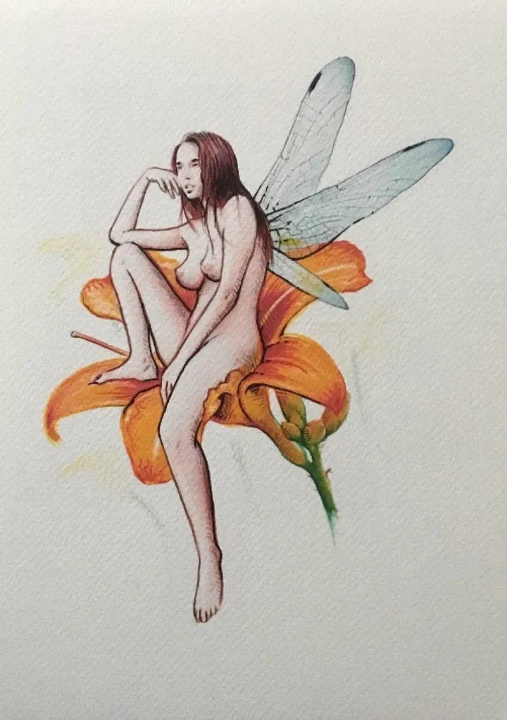 Alys, artwork by Terry O'Meher