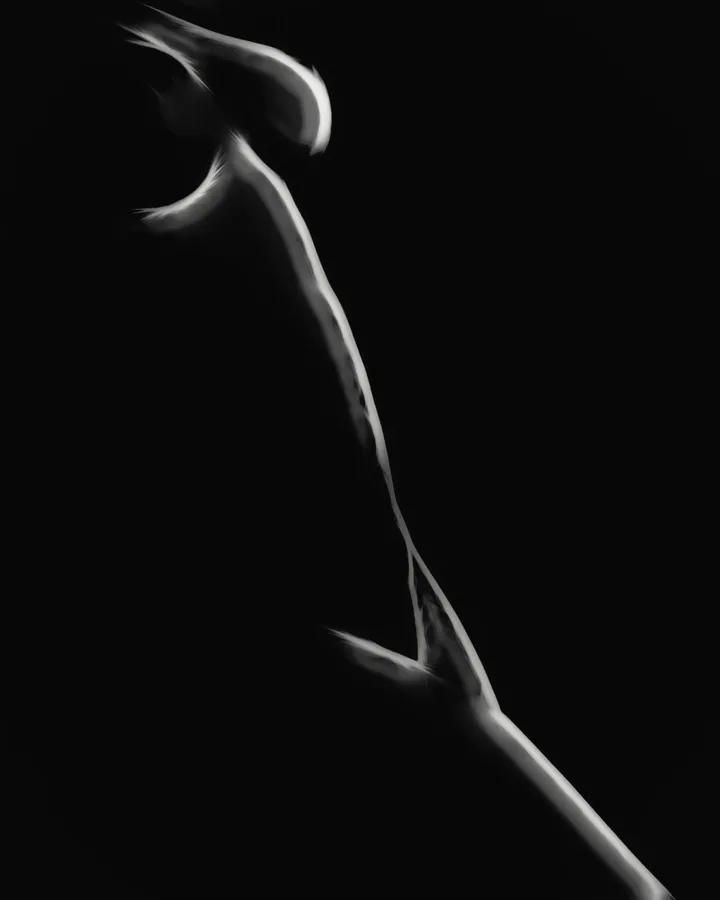 Body Shape Part 2, artwork by Erik Brede