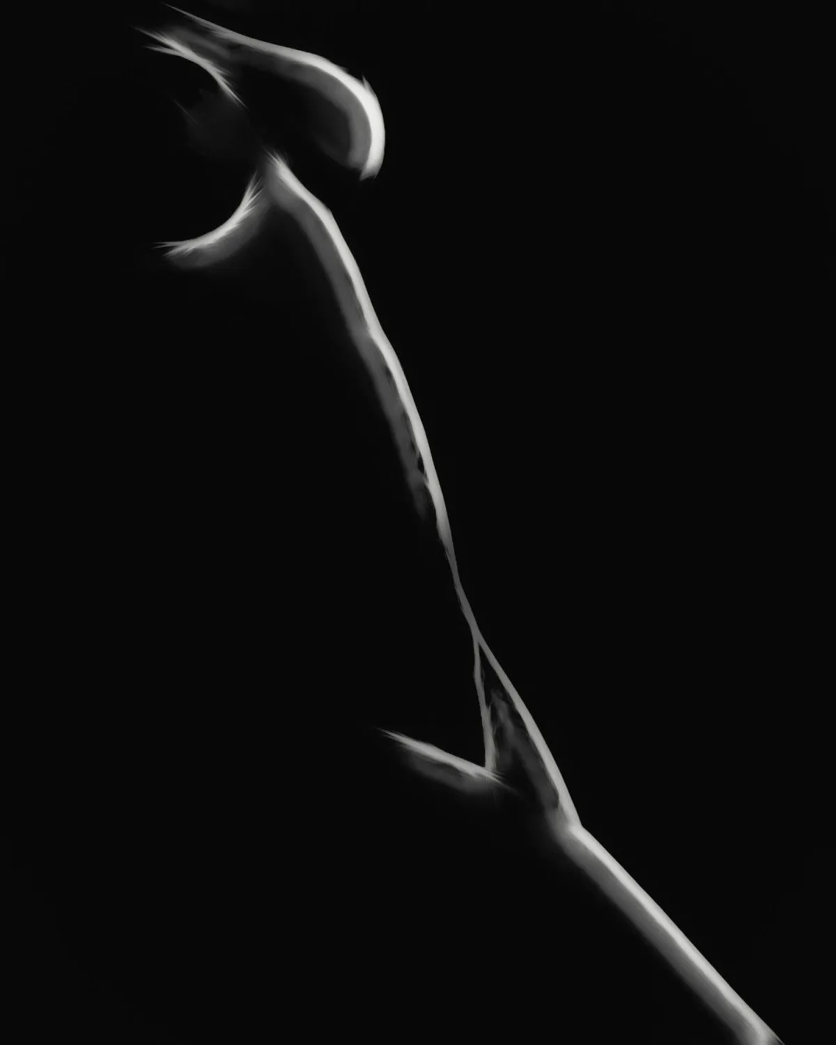 Body Shape Part 2, artwork by Erik Brede